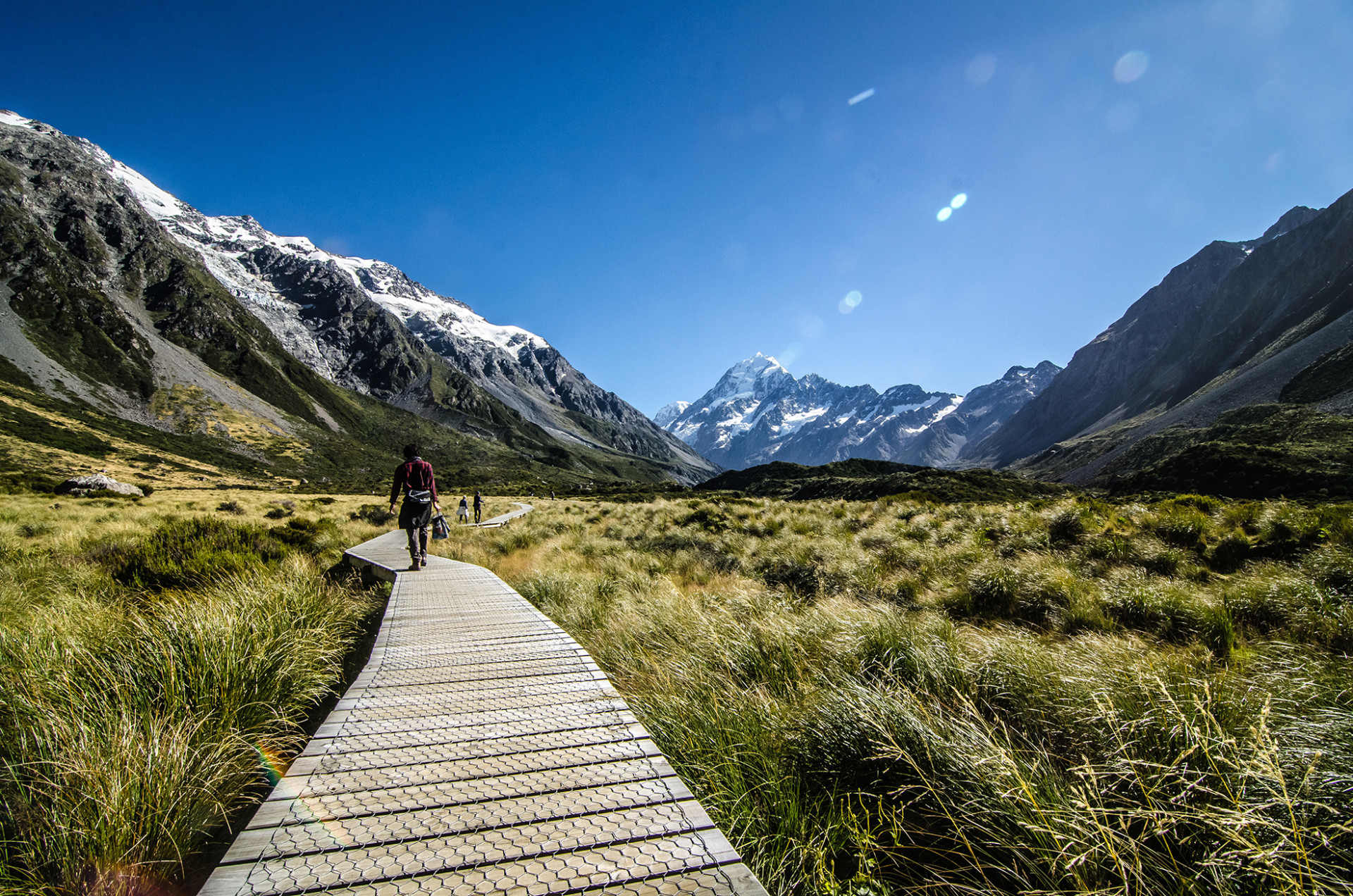 AdobeStock 231254146